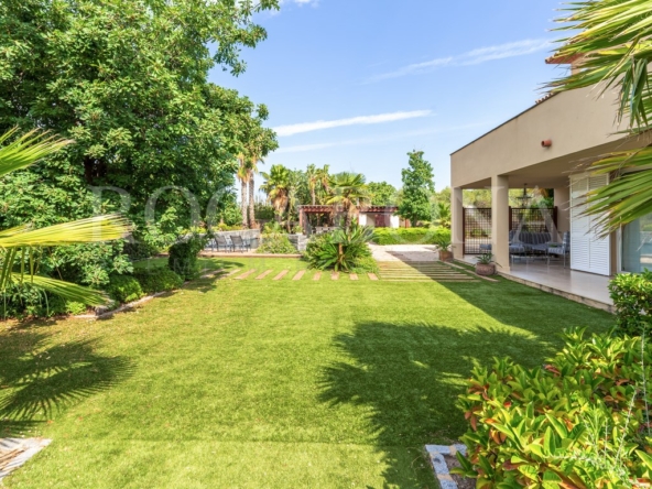 Garrofers HD-8 (Copiar)